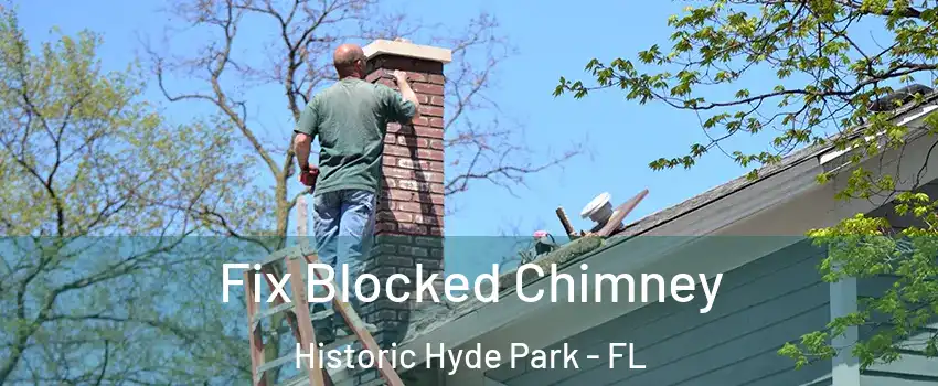 Fix Blocked Chimney Historic Hyde Park - FL