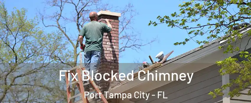 Fix Blocked Chimney Port Tampa City - FL