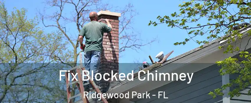 Fix Blocked Chimney Ridgewood Park - FL