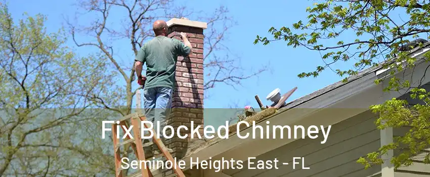 Fix Blocked Chimney Seminole Heights East - FL