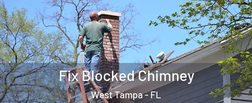 Fix Blocked Chimney West Tampa - FL