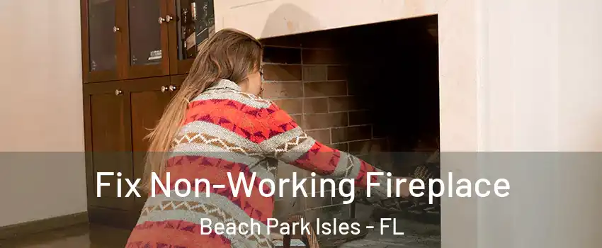 Fix Non-Working Fireplace Beach Park Isles - FL