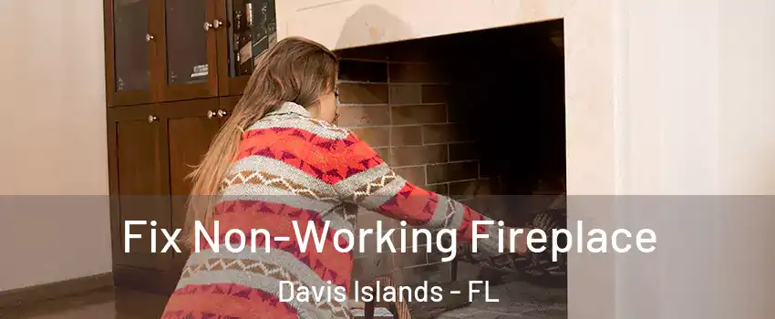 Fix Non-Working Fireplace Davis Islands - FL