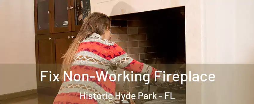 Fix Non-Working Fireplace Historic Hyde Park - FL