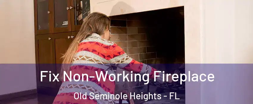 Fix Non-Working Fireplace Old Seminole Heights - FL