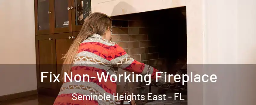 Fix Non-Working Fireplace Seminole Heights East - FL