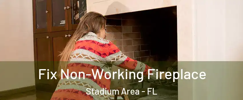 Fix Non-Working Fireplace Stadium Area - FL