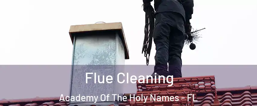 Flue Cleaning Academy Of The Holy Names - FL