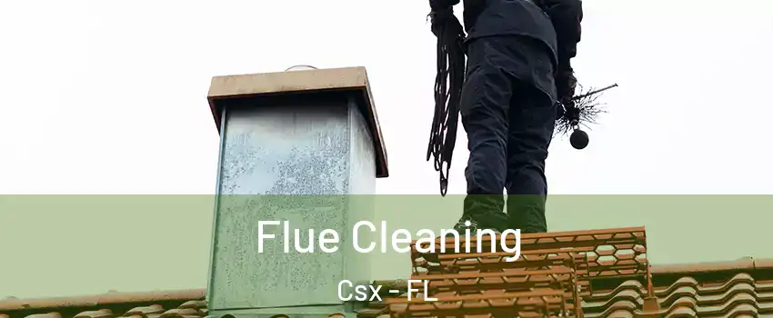 Flue Cleaning Csx - FL