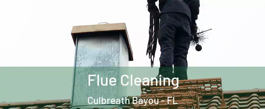 Flue Cleaning Culbreath Bayou - FL