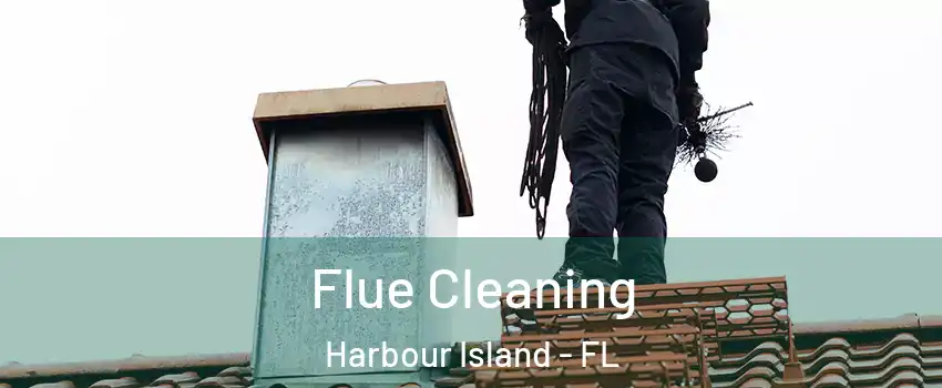 Flue Cleaning Harbour Island - FL