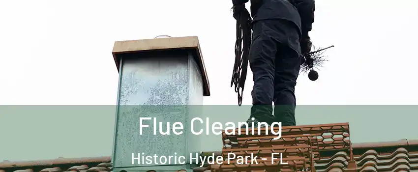 Flue Cleaning Historic Hyde Park - FL