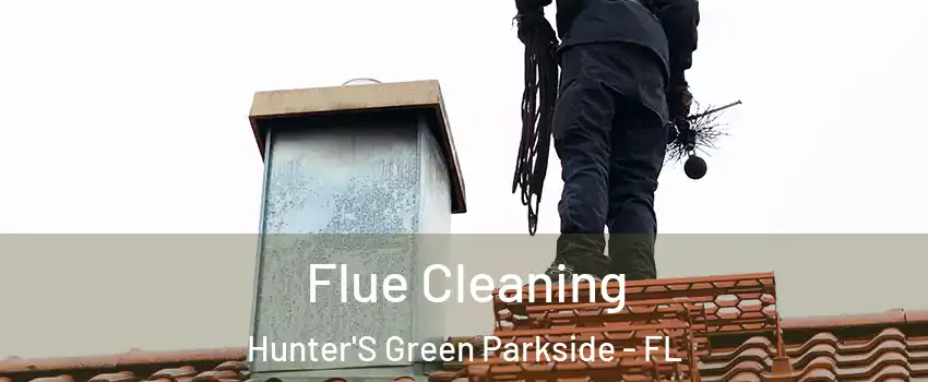 Flue Cleaning Hunter'S Green Parkside - FL