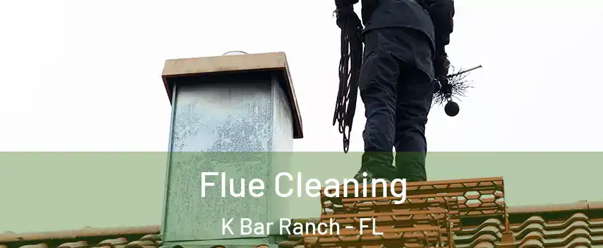 Flue Cleaning K Bar Ranch - FL