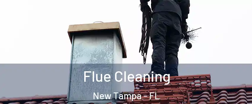 Flue Cleaning New Tampa - FL