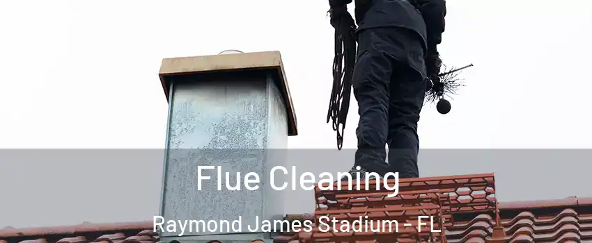 Flue Cleaning Raymond James Stadium - FL