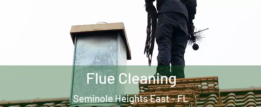 Flue Cleaning Seminole Heights East - FL