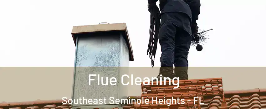 Flue Cleaning Southeast Seminole Heights - FL