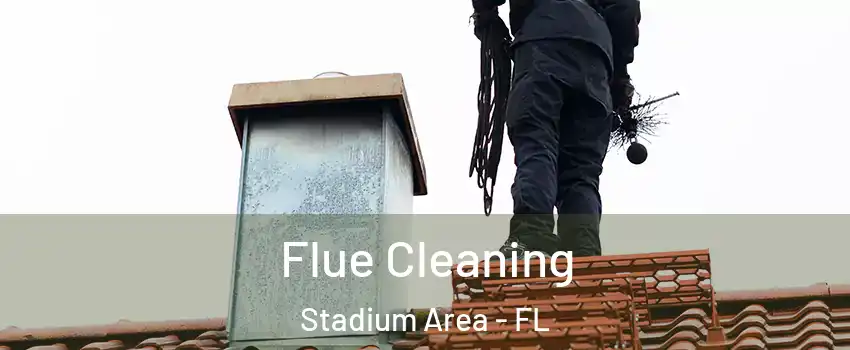 Flue Cleaning Stadium Area - FL