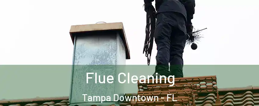 Flue Cleaning Tampa Downtown - FL