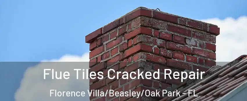 Flue Tiles Cracked Repair Florence Villa/Beasley/Oak Park - FL