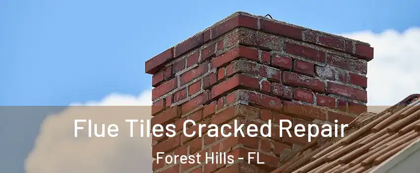 Flue Tiles Cracked Repair Forest Hills - FL