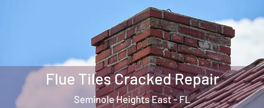 Flue Tiles Cracked Repair Seminole Heights East - FL