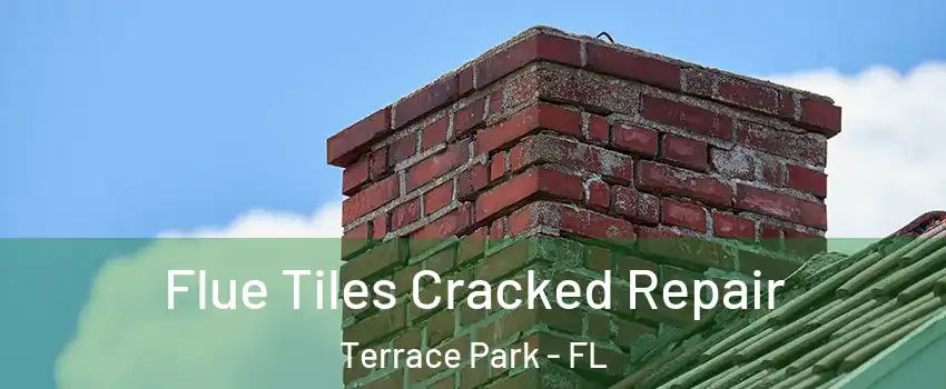 Flue Tiles Cracked Repair Terrace Park - FL