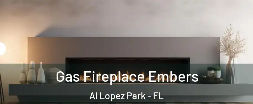 Gas Fireplace Embers Al Lopez Park - FL