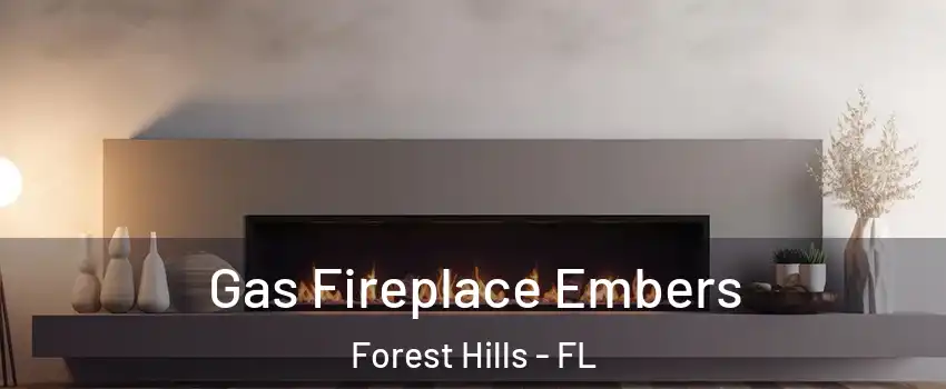 Gas Fireplace Embers Forest Hills - FL