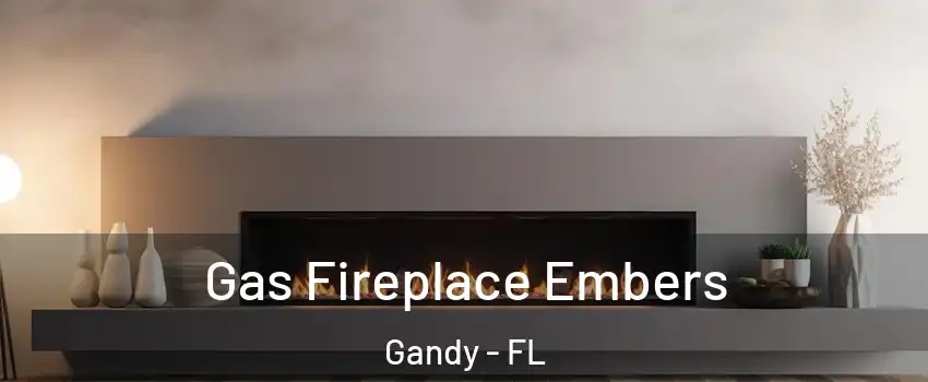 Gas Fireplace Embers Gandy - FL