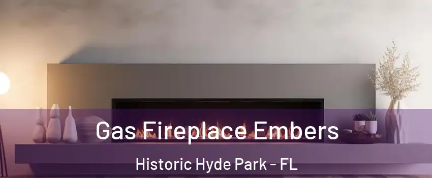 Gas Fireplace Embers Historic Hyde Park - FL