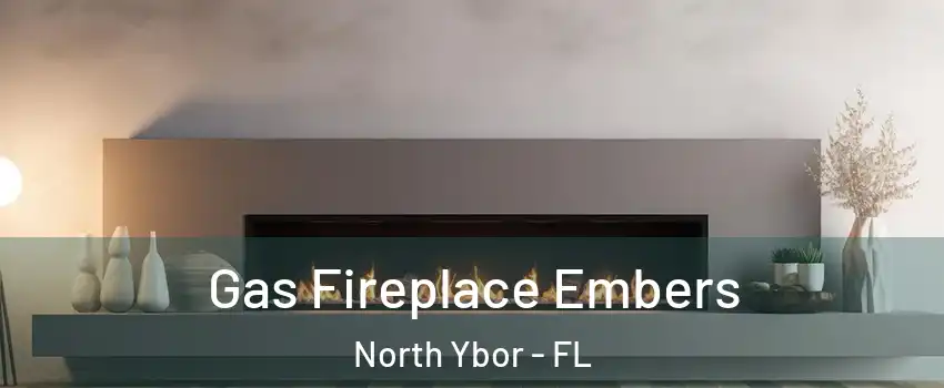 Gas Fireplace Embers North Ybor - FL