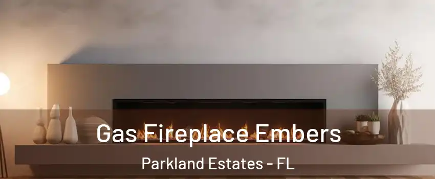 Gas Fireplace Embers Parkland Estates - FL