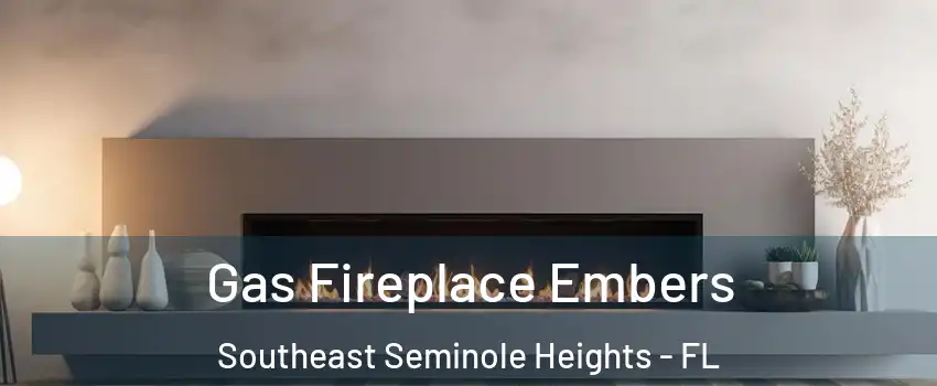 Gas Fireplace Embers Southeast Seminole Heights - FL