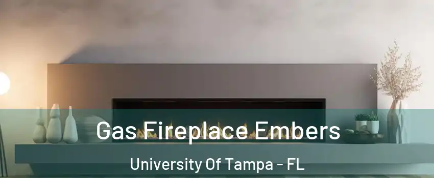 Gas Fireplace Embers University Of Tampa - FL