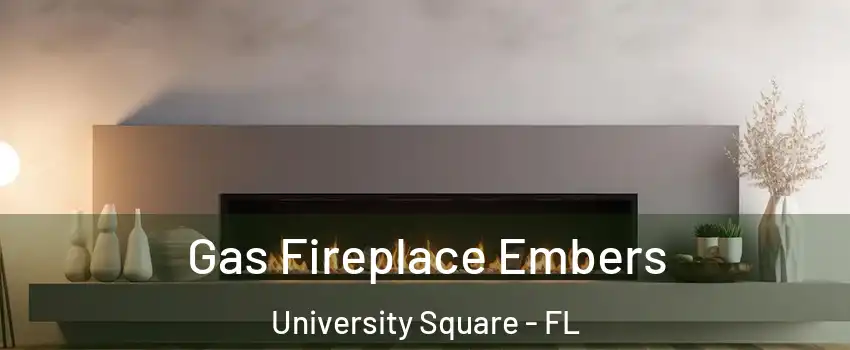 Gas Fireplace Embers University Square - FL