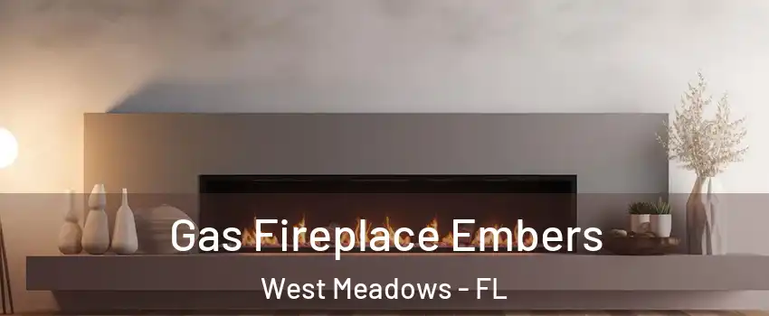 Gas Fireplace Embers West Meadows - FL