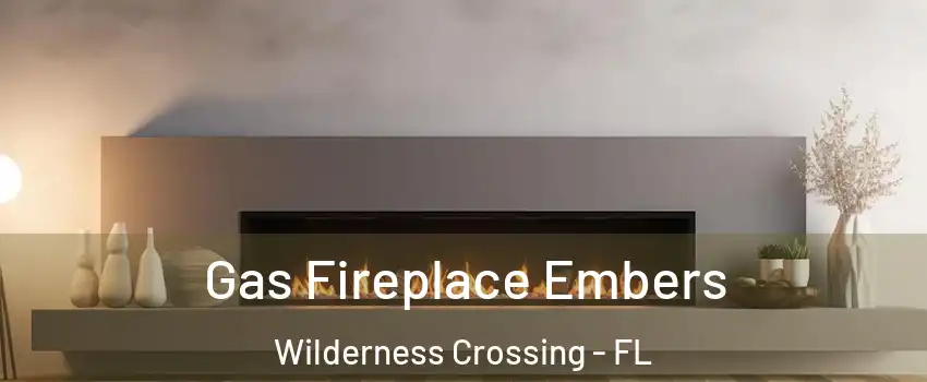 Gas Fireplace Embers Wilderness Crossing - FL