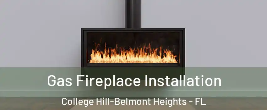 Gas Fireplace Installation College Hill-Belmont Heights - FL