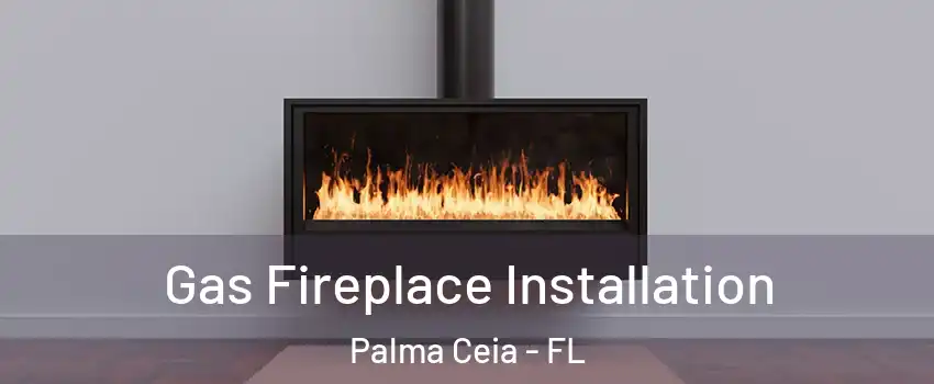 Gas Fireplace Installation Palma Ceia - FL