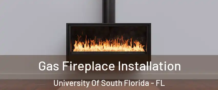 Gas Fireplace Installation University Of South Florida - FL