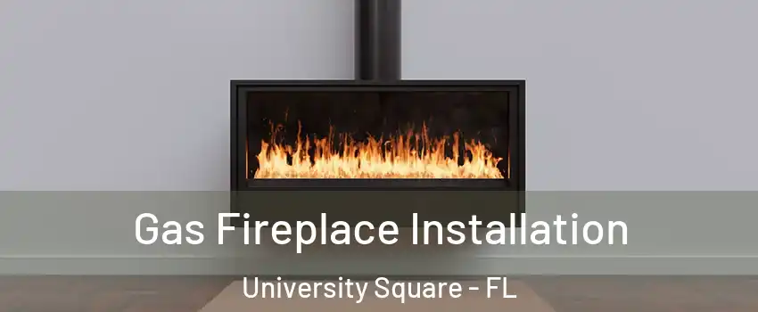 Gas Fireplace Installation University Square - FL