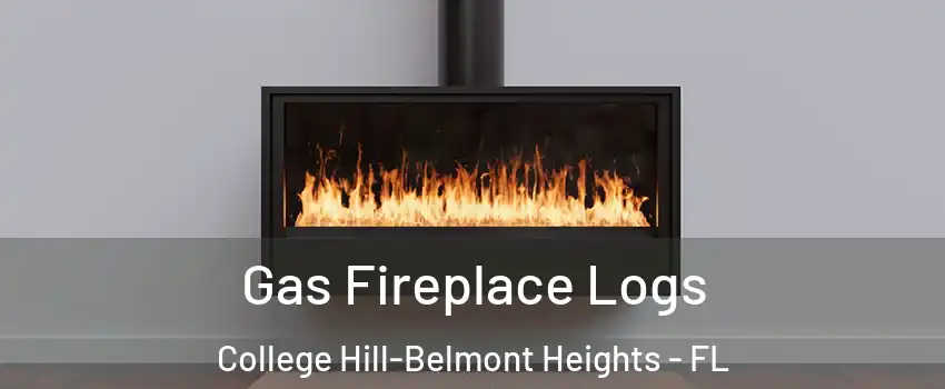 Gas Fireplace Logs College Hill-Belmont Heights - FL