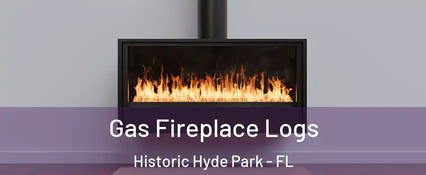 Gas Fireplace Logs Historic Hyde Park - FL