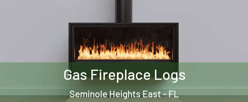 Gas Fireplace Logs Seminole Heights East - FL