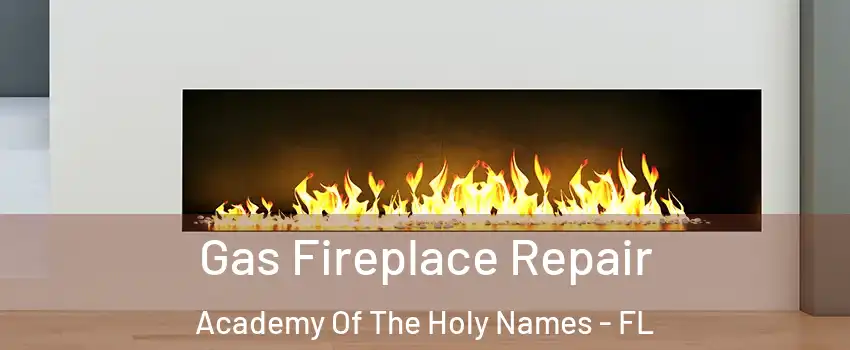 Gas Fireplace Repair Academy Of The Holy Names - FL