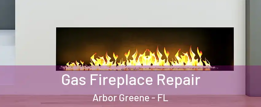 Gas Fireplace Repair Arbor Greene - FL