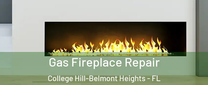 Gas Fireplace Repair College Hill-Belmont Heights - FL