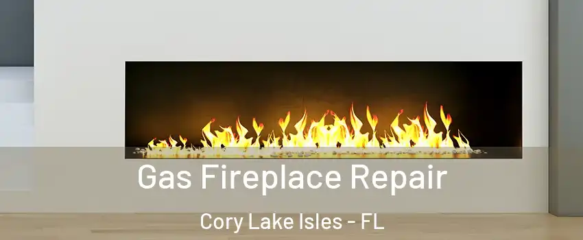 Gas Fireplace Repair Cory Lake Isles - FL